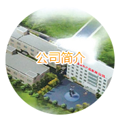 公司簡介