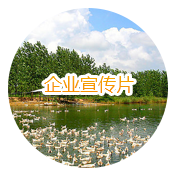 企業宣傳片